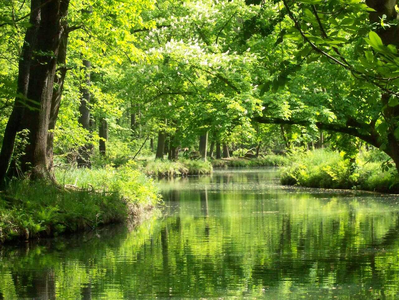 Idyllischer Spreewald